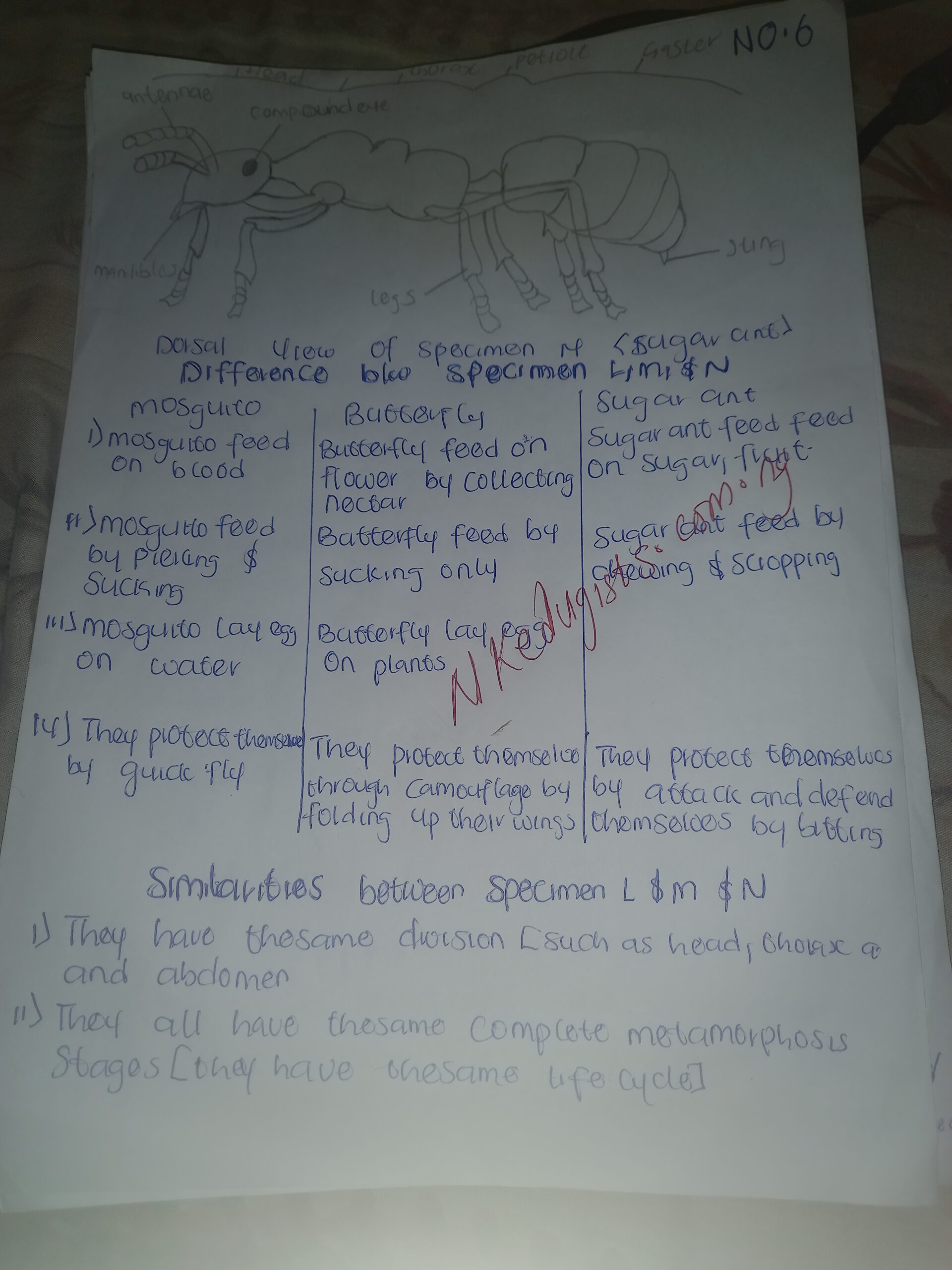 Biology practical specimen Answer 2021