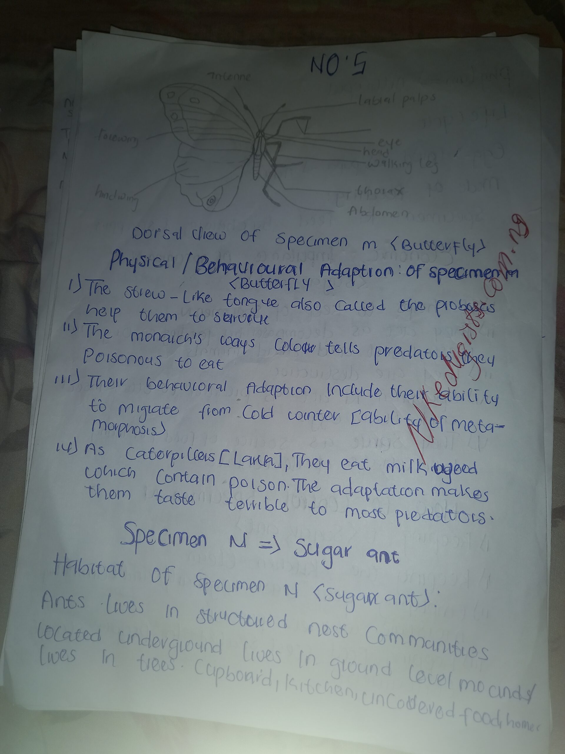 Biology practical specimen Answer 2021