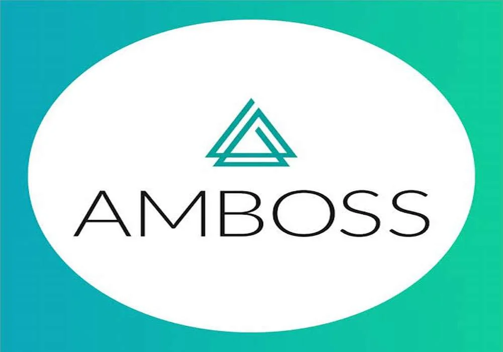 Amboss undergraduates Scholarship