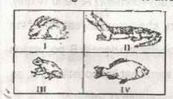 aquatic conditions for reproduction