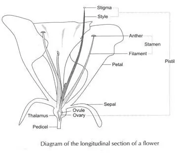 WAEC Biology Practical Specimen 2023