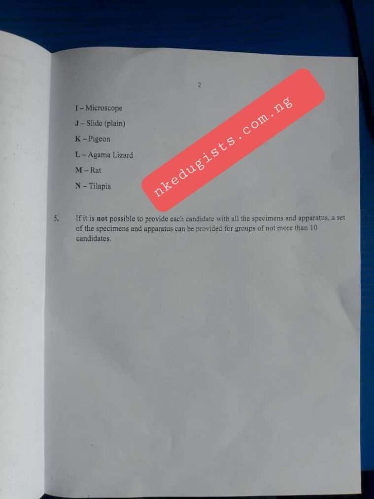 2023 NECO Biology Practical Specimen Answers